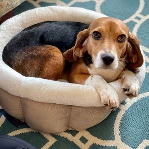 Meet your Posher, Sam